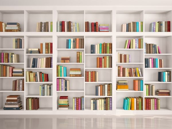 Bookshelf Assembly in Johnson City